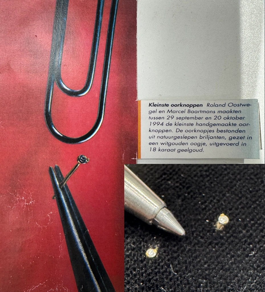 Guinness Book of Records vermelding van Roland Oostwegel
